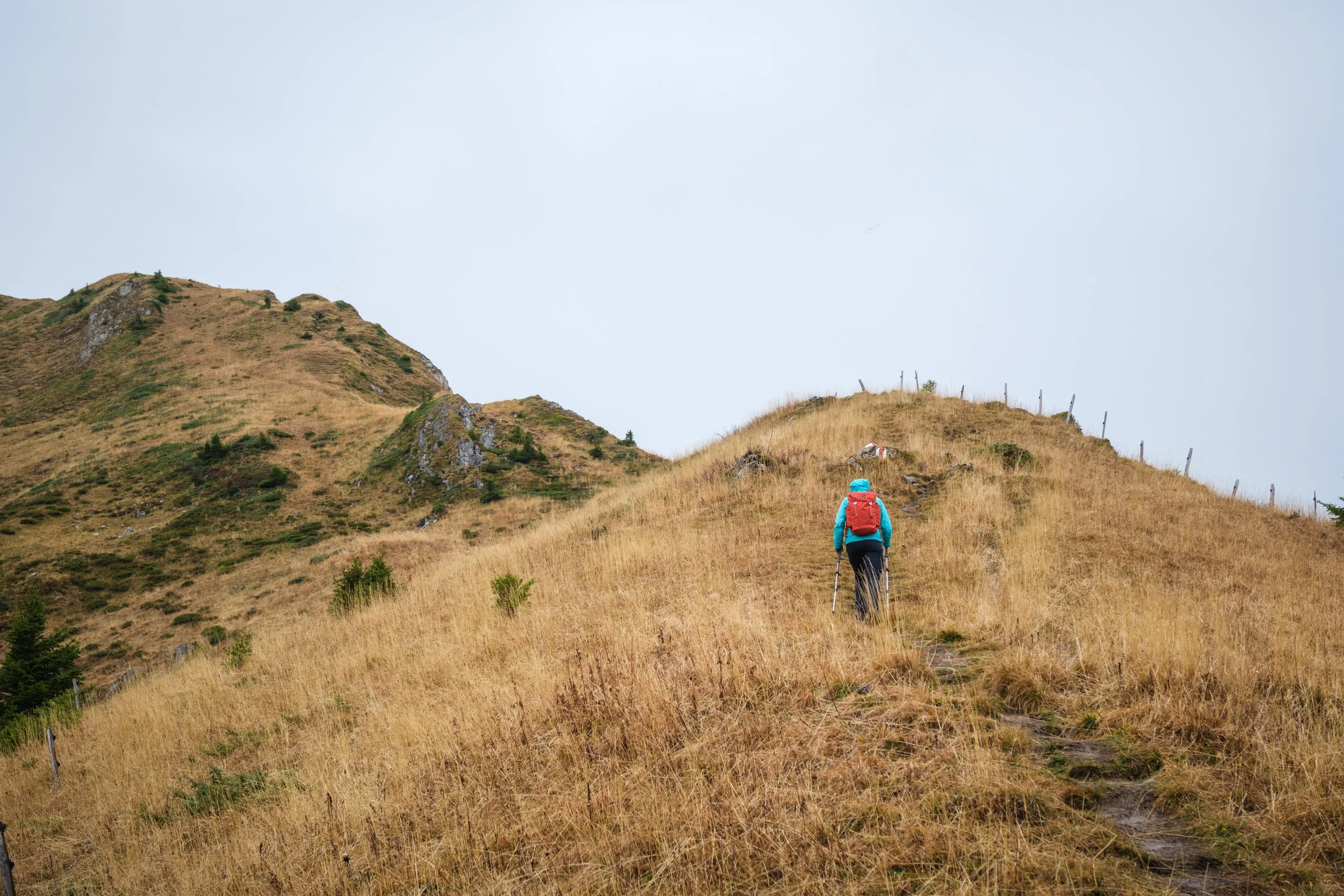 Ein Wanderer mit blauer Jacke, rotem Rucksack und Wanderstöcken wandert auf einem schmalen Pfad durch eine goldene, grasbedeckte Berglandschaft unter einem grauen Himmel.