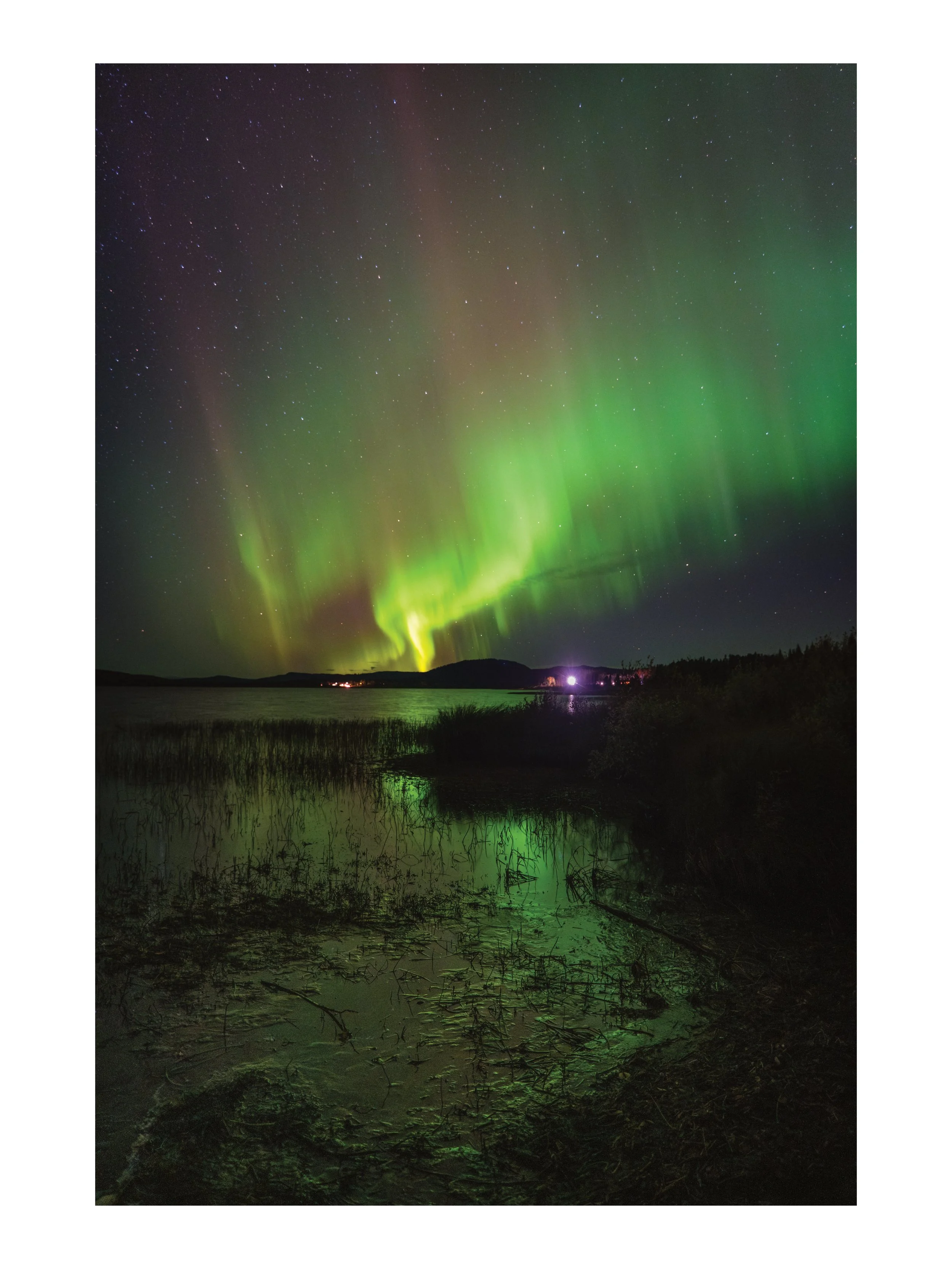 Nordlichter leuchten grün und rot am Nachthimmel über einem See mit Ufervegetation.