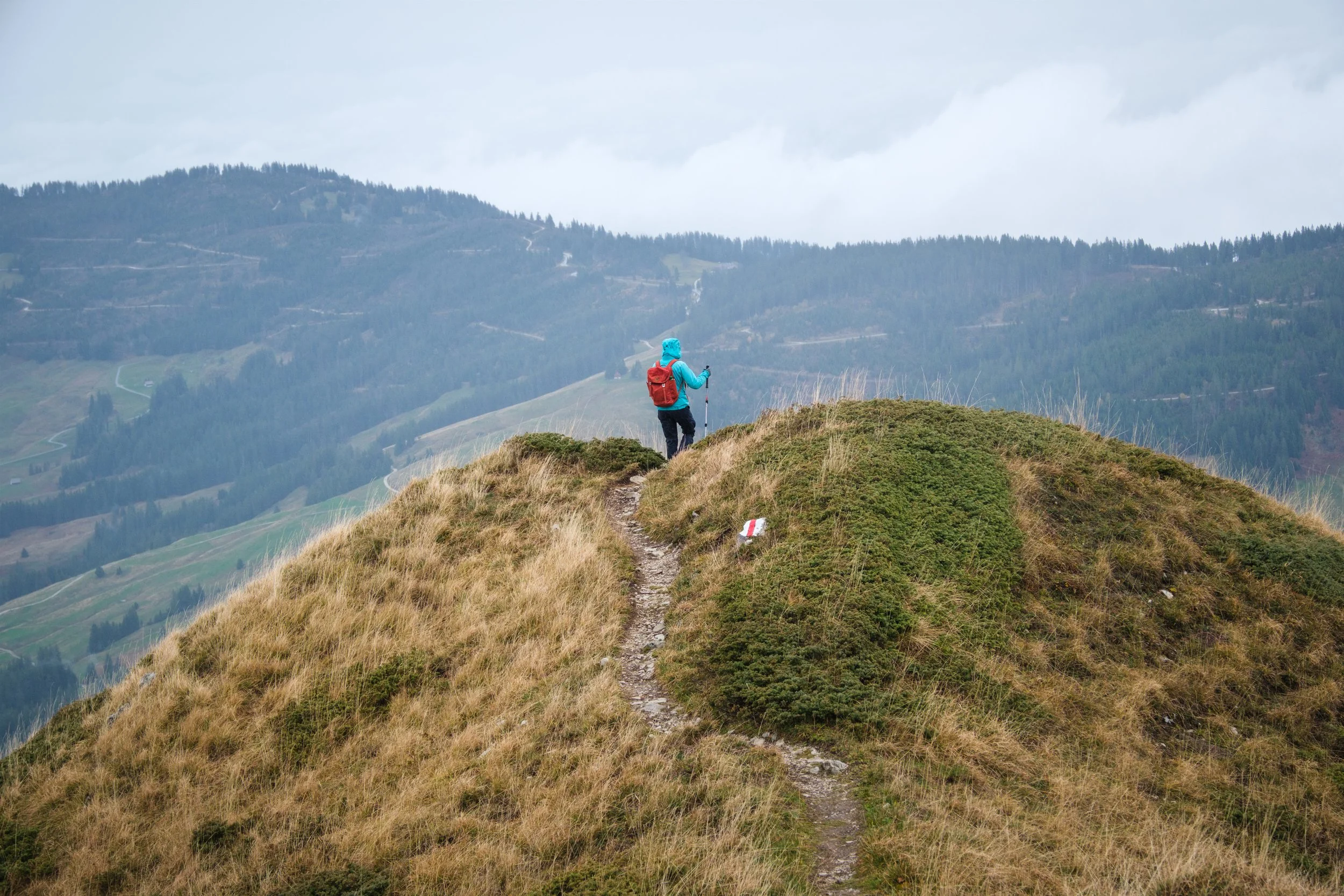 Ein Wanderer in blauer Jacke mit rotem Rucksack und Wanderstöcken geht auf einem schmalen Pfad auf einer grasbewachsenen Bergkuppe mit Blick auf ein Tal mit Wäldern und Hügeln in der Ferne bei bewölktem Himmel.