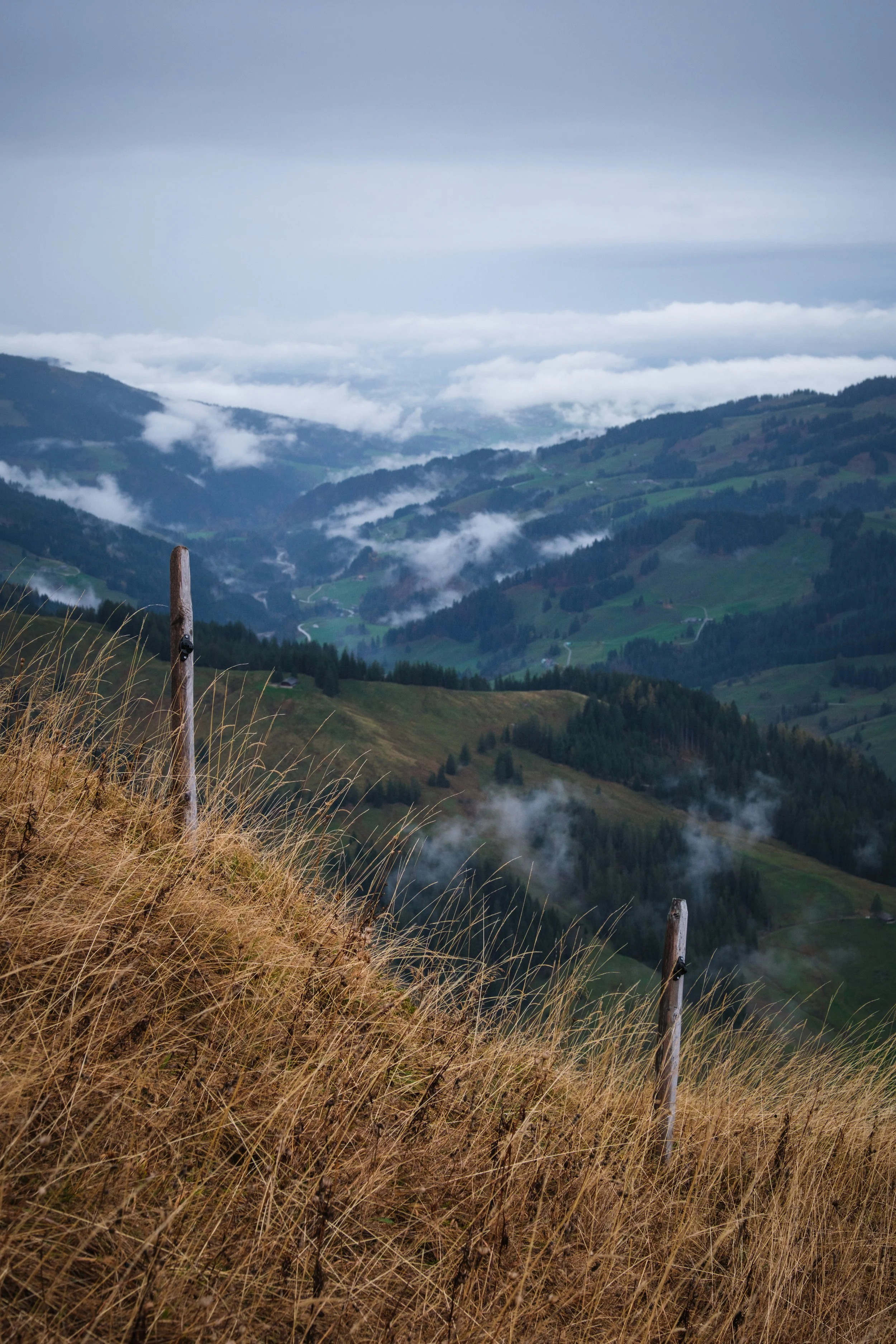Berglandschaft mit grünen Hügeln, Wolken und Nebel, two Holzpfähle im Vordergrund, hohe Gras im Vordergrund.