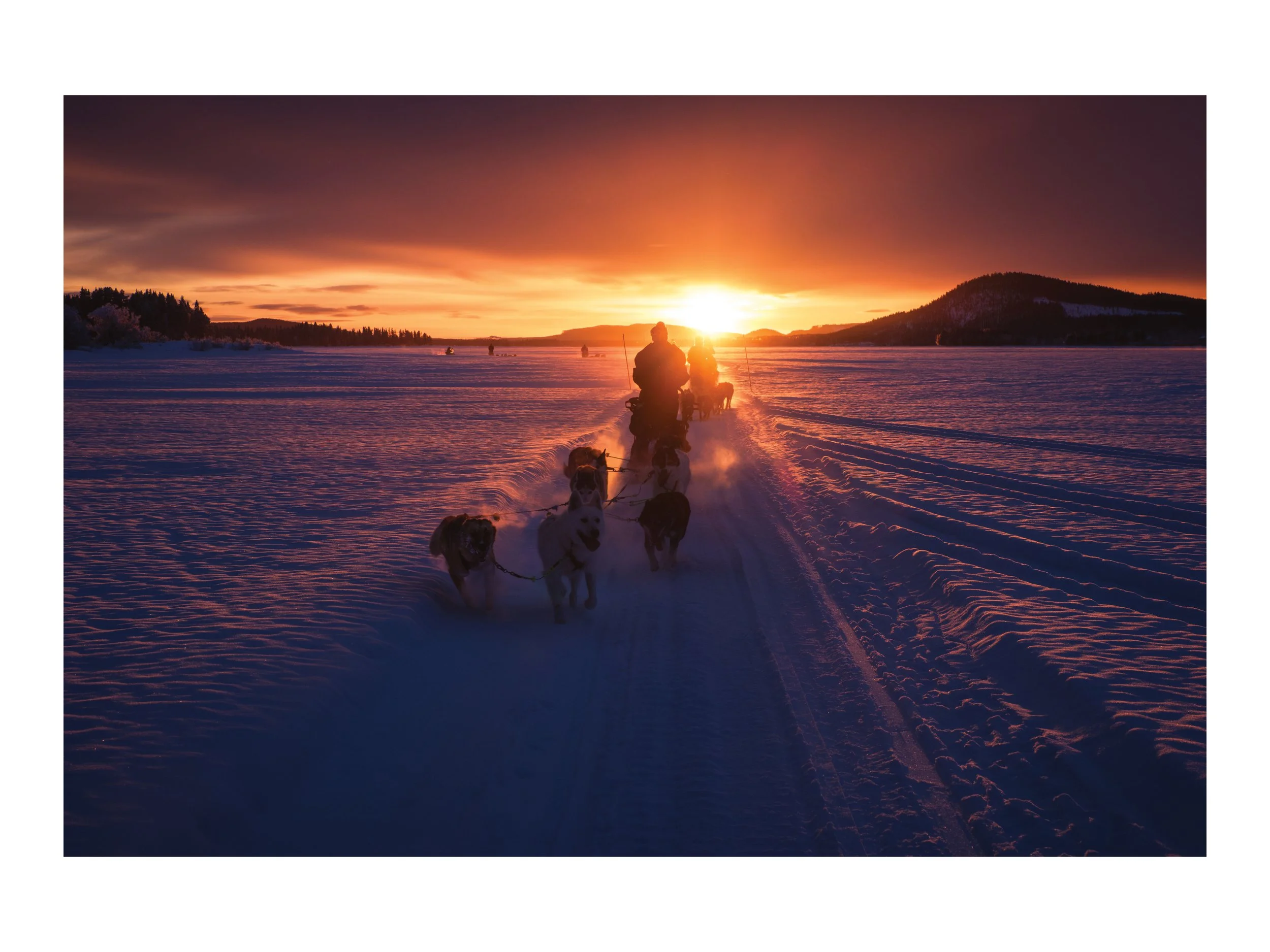 Hundeschlittenfahrer fährt bei Sonnenuntergang durch verschneite Landschaft, unterstützt von mehreren Hunden. Das Himmel ist orange und lila.