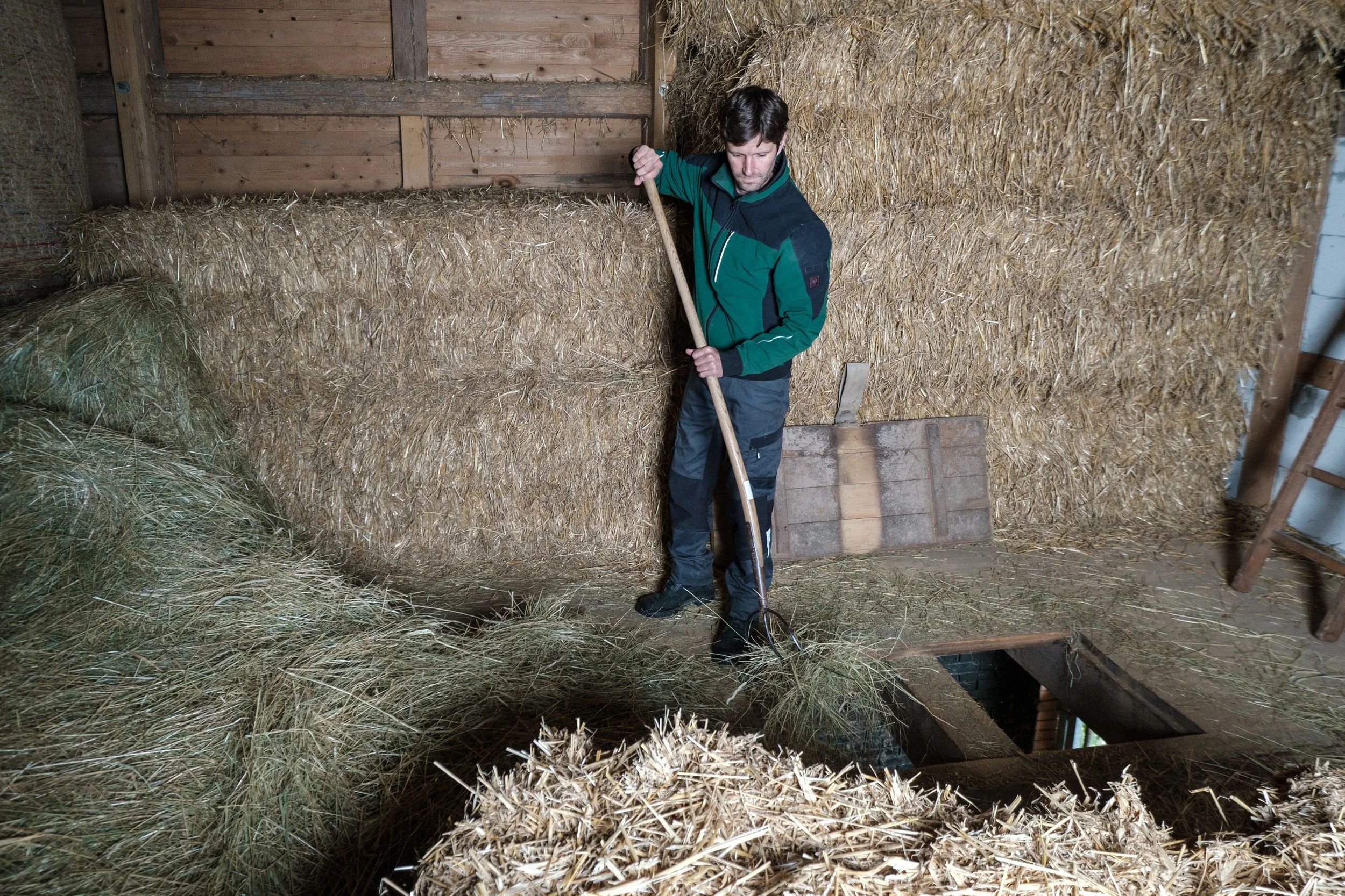 Ein Mann in einem Stall mit Heuballen, der mit einem Rechen auf dem Boden arbeitet.