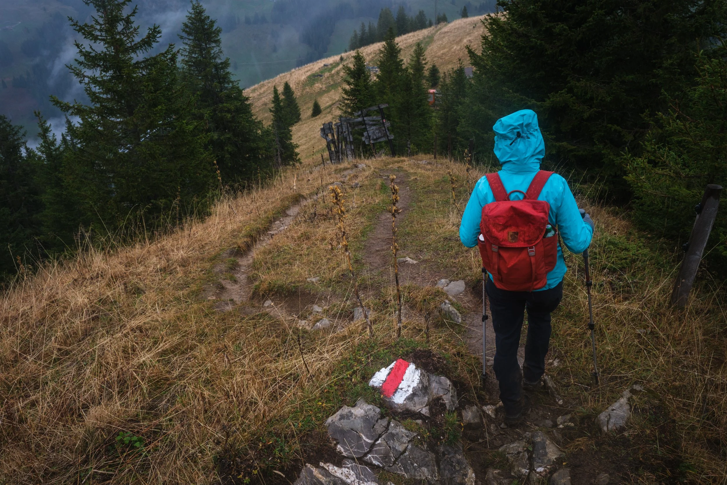 Wanderer in einem Waldgebiet mit einem roten Rucksack, die auf einem schmalen, markierten Pfad in den Bergen unterwegs ist.